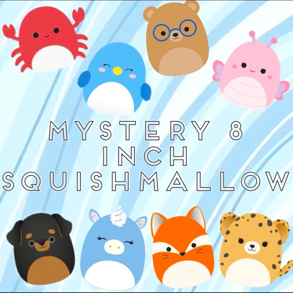 Mystery 8 inch Squishmallows. All brand new with tags.